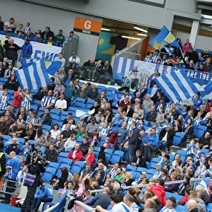 Brighton and Hove Albion vs Middlesbrough: A Sea of Passion in the South West Corner (18OCT14)