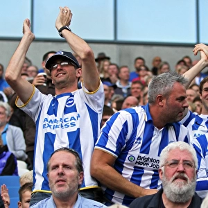 Brighton & Hove Albion vs. Middlesbrough: 18Oct14 (Home Game)