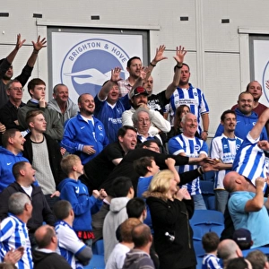 Brighton & Hove Albion vs. Middlesbrough: 18 October 2014 (Home Game)
