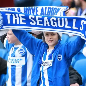 Brighton and Hove Albion vs Middlesbrough: Fans Passionate Showdown at the American Express Community Stadium (19DEC15) Brighton and Hove Albion vs Middlesbrough: Fans Passionate Showdown at the American Express Community Stadium (19DEC15)