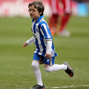 Brighton & Hove Albion vs. Middlesbrough: 2012-13 Away Game Brighton & Hove Albion vs. Middlesbrough: 2012-13 Away Game