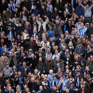 Brighton & Hove Albion vs. Middlesbrough: 2012-13 Home Game Brighton & Hove Albion vs. Middlesbrough: 2012-13 Home Game
