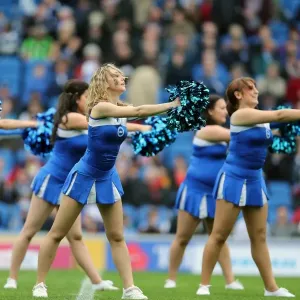 Brighton & Hove Albion vs. Middlesbrough: 2012-13 Home Game Brighton & Hove Albion vs. Middlesbrough: 2012-13 Home Game