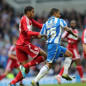Brighton & Hove Albion vs. Middlesbrough: 2012-13 Home Game Brighton & Hove Albion vs. Middlesbrough: 2012-13 Home Game
