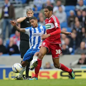 Brighton & Hove Albion vs. Middlesbrough: 2012-13 Home Game Brighton & Hove Albion vs. Middlesbrough: 2012-13 Home Game