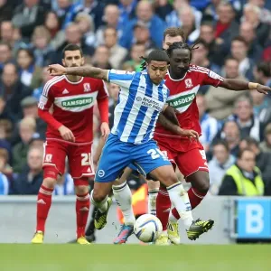 Brighton & Hove Albion vs. Middlesbrough: 2012-13 Home Game Brighton & Hove Albion vs. Middlesbrough: 2012-13 Home Game