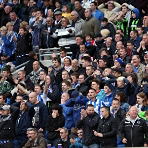 Brighton & Hove Albion vs. Middlesbrough: Home Game - October 20, 2012