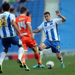 Brighton & Hove Albion vs. Millwall: 2013-14 Home Game Brighton & Hove Albion vs. Millwall: 2013-14 Home Game