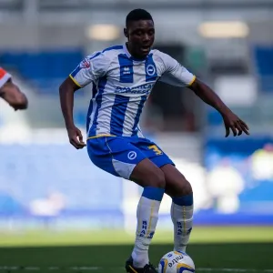Brighton & Hove Albion vs. Millwall: 2013-14 Home Game - August 31 Brighton & Hove Albion vs. Millwall: 2013-14 Home Game - August 31