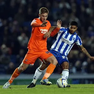 Brighton & Hove Albion vs Millwall: A Championship Showdown (12-12-2012)
