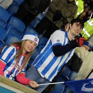 Brighton & Hove Albion vs Millwall: A Championship Showdown (December 18, 2012)