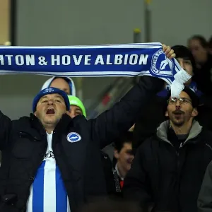 Brighton & Hove Albion vs Millwall: A Championship Showdown (December 18, 2012)