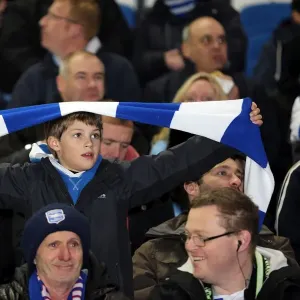 Brighton & Hove Albion vs Millwall: A Championship Showdown (December 18, 2012)