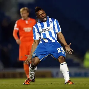 Brighton & Hove Albion vs Millwall: A Championship Showdown (December 18, 2012)