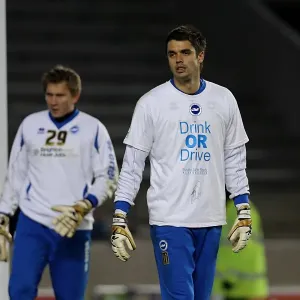 Brighton & Hove Albion vs. Millwall: A Championship Showdown (December 18, 2012)