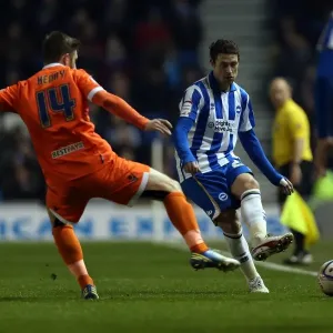 Brighton & Hove Albion vs Millwall: A Championship Showdown (December 18, 2012)