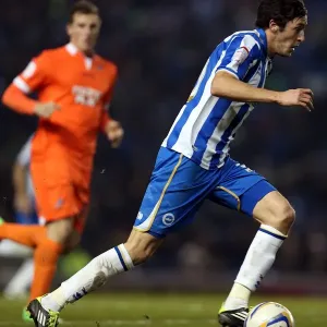 Brighton & Hove Albion vs Millwall: A Championship Showdown (December 18, 2012)
