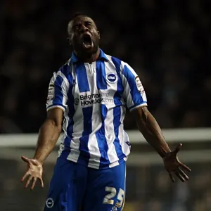 Brighton & Hove Albion vs. Millwall: A Historic 2011-12 Home Game Brighton & Hove Albion vs. Millwall: A Historic 2011-12 Home Game