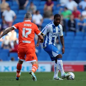 Brighton & Hove Albion vs Millwall: Home Game - August 31, 2013 Brighton & Hove Albion vs Millwall: Home Game - August 31, 2013