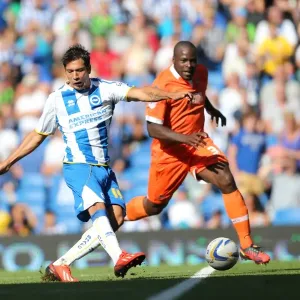 Brighton & Hove Albion vs. Millwall: Home Game - August 31, 2013 Brighton & Hove Albion vs. Millwall: Home Game - August 31, 2013