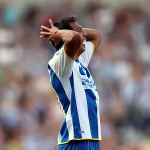 Brighton & Hove Albion vs. Millwall: Home Game - August 31, 2013 Brighton & Hove Albion vs. Millwall: Home Game - August 31, 2013