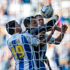 Brighton & Hove Albion vs Millwall: Home Game - August 31, 2013 Brighton & Hove Albion vs Millwall: Home Game - August 31, 2013
