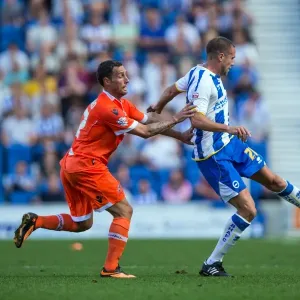 Brighton & Hove Albion vs. Millwall: Home Game - August 31, 2013 Brighton & Hove Albion vs. Millwall: Home Game - August 31, 2013