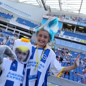 Brighton & Hove Albion vs. Millwall: Home Game - August 31, 2013 Brighton & Hove Albion vs. Millwall: Home Game - August 31, 2013