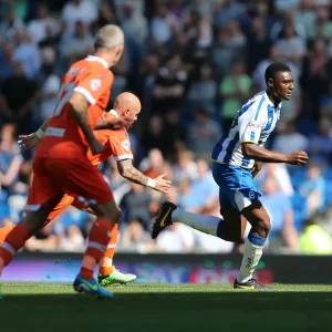 Brighton & Hove Albion vs Millwall: Home Game - August 31, 2013 Brighton & Hove Albion vs Millwall: Home Game - August 31, 2013