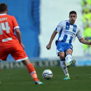 Brighton & Hove Albion vs. Millwall: Home Game - August 31, 2013 Brighton & Hove Albion vs. Millwall: Home Game - August 31, 2013