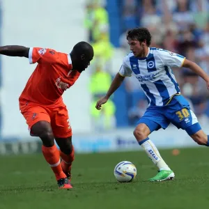 Brighton & Hove Albion vs. Millwall: Home Game - August 31, 2013 Brighton & Hove Albion vs. Millwall: Home Game - August 31, 2013