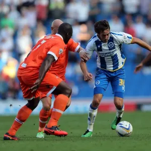 Brighton & Hove Albion vs Millwall: Home Game - August 31, 2013 Brighton & Hove Albion vs Millwall: Home Game - August 31, 2013