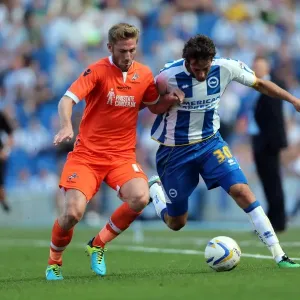 Brighton & Hove Albion vs. Millwall: Home Game - August 31, 2013 Brighton & Hove Albion vs. Millwall: Home Game - August 31, 2013