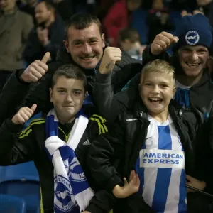 Brighton and Hove Albion vs Milton Keynes Dons: Sky Bet Championship Showdown at American Express Community Stadium (07.11.2015) Brighton and Hove Albion vs Milton Keynes Dons: Sky Bet Championship Showdown at American Express Community Stadium (07.11.2015)