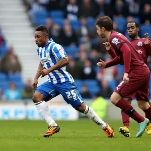 Brighton & Hove Albion vs. Newcastle United (05-01-2013): A Glance at Our 2012-13 Home Season