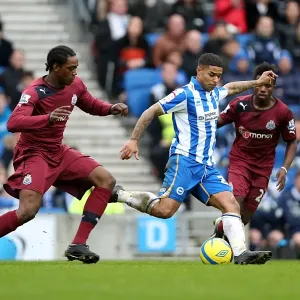 Brighton & Hove Albion vs. Newcastle United (05-01-2013): A Glance at Our 2012-13 Home Season