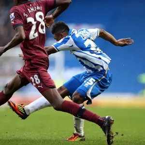 Brighton & Hove Albion vs. Newcastle United (05-01-2013) - A Glimpse into the 2012-13 Home Season