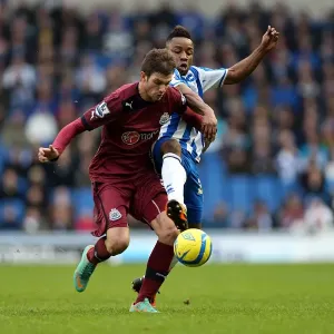 Brighton & Hove Albion vs. Newcastle United (05-01-2013): A Glimpse into the 2012-13 Home Season