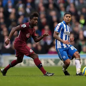 Brighton & Hove Albion vs. Newcastle United (05-01-2013): A Glimpse into the 2012-13 Home Season