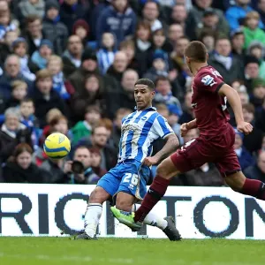 Brighton & Hove Albion vs. Newcastle United (05-01-2013): A Glimpse into the 2012-13 Home Season