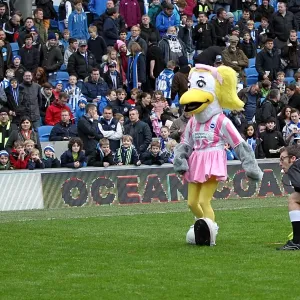 Brighton & Hove Albion vs. Newcastle United (05-01-2013): A Glimpse into the 2012-13 Home Season