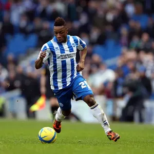 Brighton & Hove Albion vs. Newcastle United (05-01-2013) - A Peek into the 2012-13 Home Season
