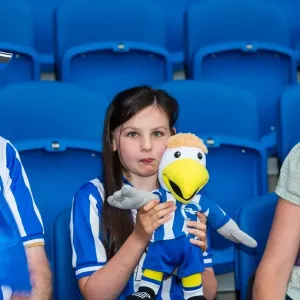 Brighton & Hove Albion vs Newport County AFC (2013-14 Season): Home Game Highlights Brighton & Hove Albion vs Newport County AFC (2013-14 Season): Home Game Highlights