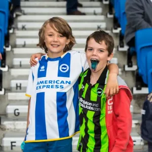 Brighton & Hove Albion vs Newport County AFC: Home Game - August 2013 Brighton & Hove Albion vs Newport County AFC: Home Game - August 2013