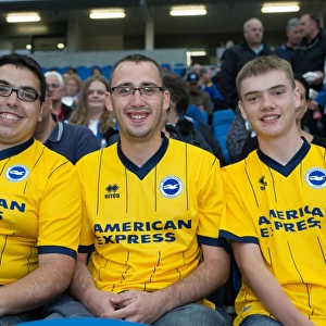 Brighton & Hove Albion vs Norwich City: Kickoff to the 2013-14 Season - Pre-Season Clash