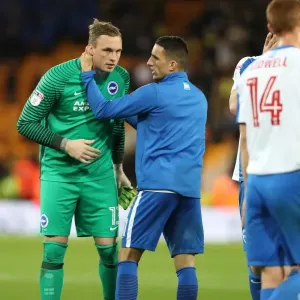 Brighton and Hove Albion vs. Norwich City: Intense Championship Clash at Carrow Road (21APR17) Brighton and Hove Albion vs. Norwich City: Intense Championship Clash at Carrow Road (21APR17)