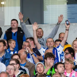 Brighton & Hove Albion vs Norwich City: Kicking Off the 2013-14 Season - Pre-Season Clash Brighton & Hove Albion vs Norwich City: Kicking Off the 2013-14 Season - Pre-Season Clash