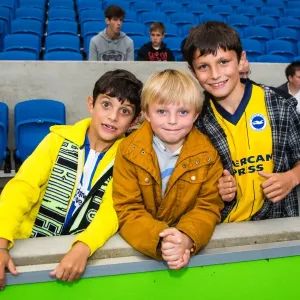 Brighton & Hove Albion vs Norwich City: Kickoff to the 2013-14 Season - Pre-Season Clash Brighton & Hove Albion vs Norwich City: Kickoff to the 2013-14 Season - Pre-Season Clash