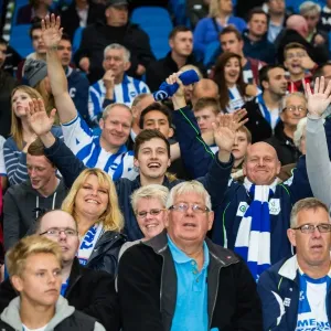 Brighton & Hove Albion vs Norwich City: Kickoff to the 2013-14 Season - Pre-Season Clash Brighton & Hove Albion vs Norwich City: Kickoff to the 2013-14 Season - Pre-Season Clash
