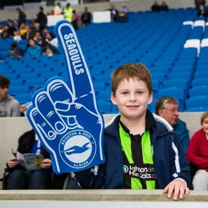 Brighton & Hove Albion vs Norwich City: Kickstarting the 2013-14 Season - Pre-Season Clash Brighton & Hove Albion vs Norwich City: Kickstarting the 2013-14 Season - Pre-Season Clash